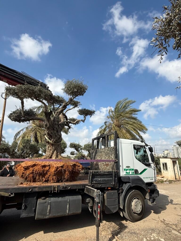 עבודת מנוף והובלה של מינאי הובלות ומנופים בע״מ